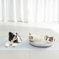 개과천선 댕냥쿨베드 매트