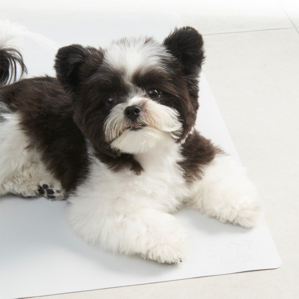 페오펫몰,개과천선 댕냥쿨베드 매트