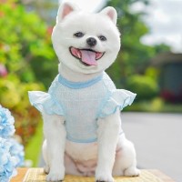 개과천선 코코쿨 메쉬 나시