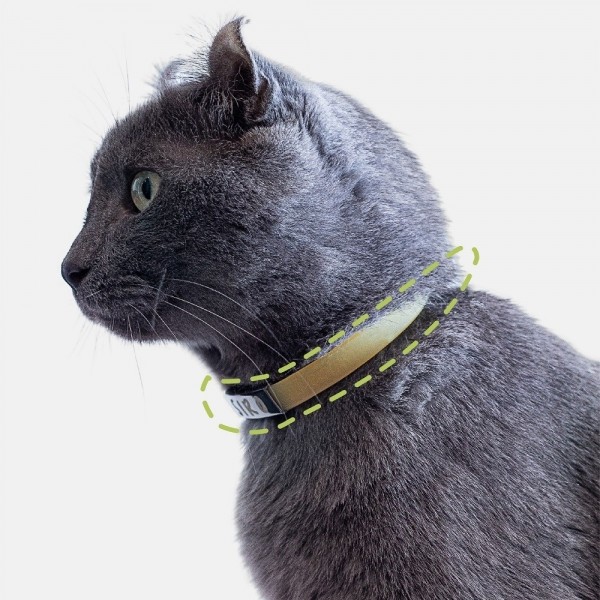 페오펫몰,반려동물 각인 목줄 반려견 반려묘 강아지목줄 고양이목줄 커스텀각인