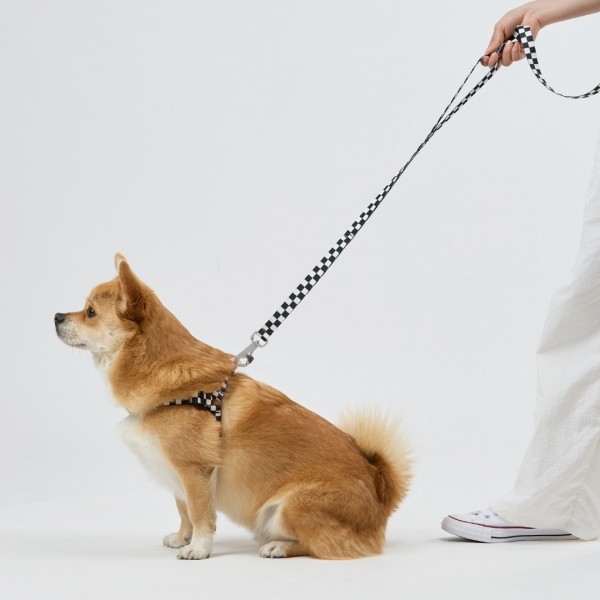 페오펫몰,일로 텐텐 TENTEN 리쉬 - 블랙