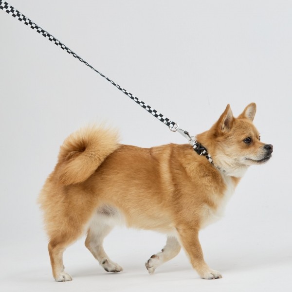 페오펫몰,일로 텐텐 TENTEN 리쉬 - 블랙