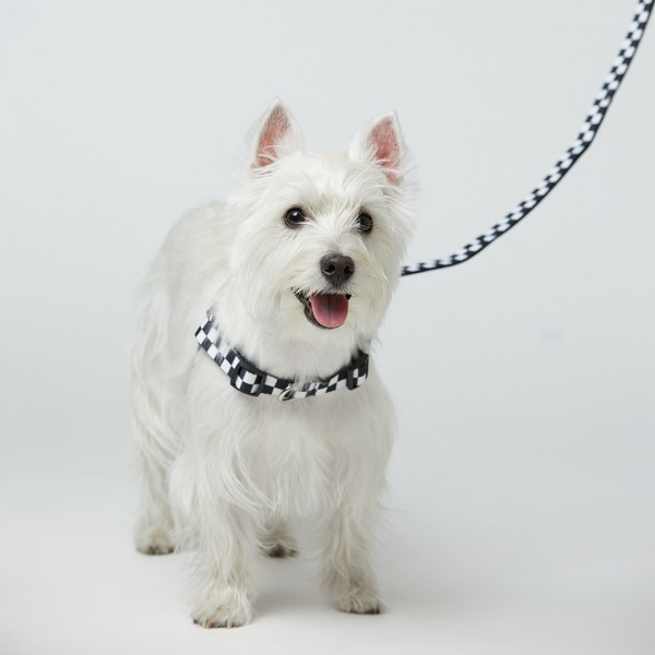 페오펫몰,일로 텐텐 TENTEN 리쉬 - 블랙