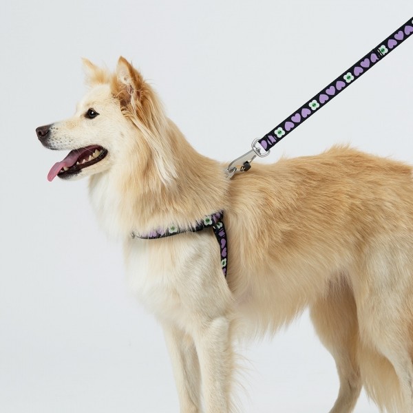 페오펫몰,일로 럽미 LUV ME 하네스 (L형)