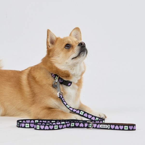 페오펫몰,일로 럽미 LUV ME 리쉬