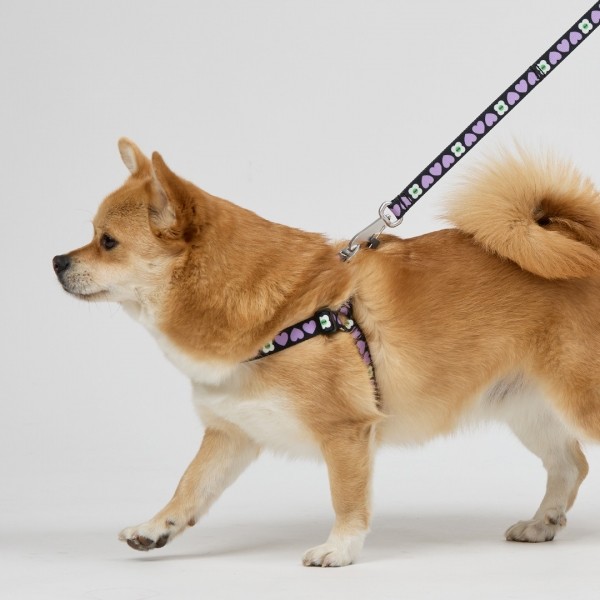 페오펫몰,일로 럽미 LUV ME 리쉬