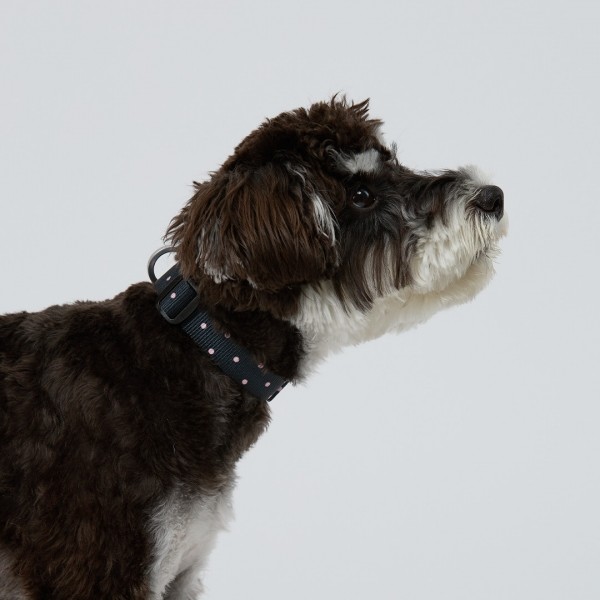 페오펫몰,일로 도로시 DOROTHY 더블락 목줄