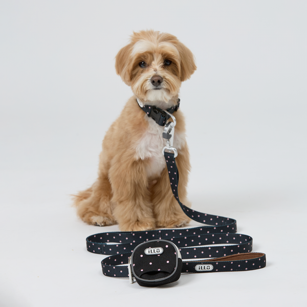 페오펫몰,일로 도로시 DOROTHY 더블락 목줄