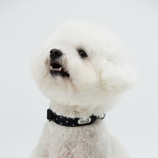 페오펫몰,일로 도로시 DOROTHY 오리지널 목줄