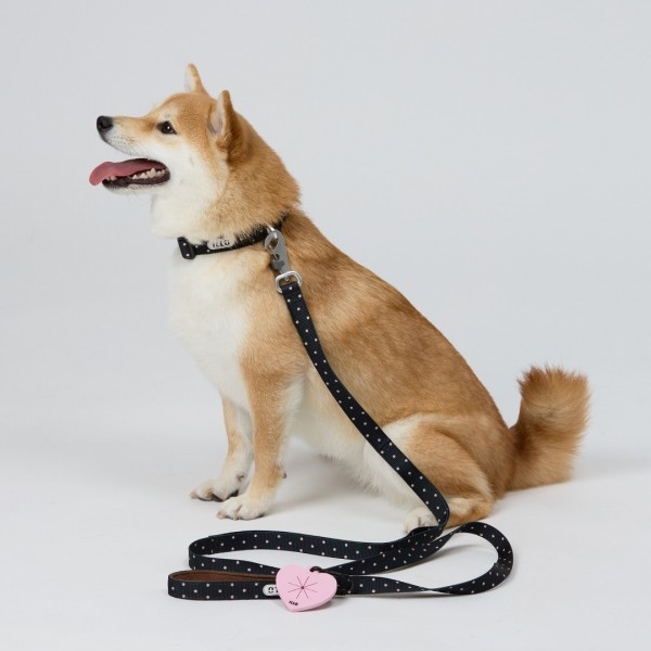 페오펫몰,일로 도로시 DOROTHY 오리지널 목줄