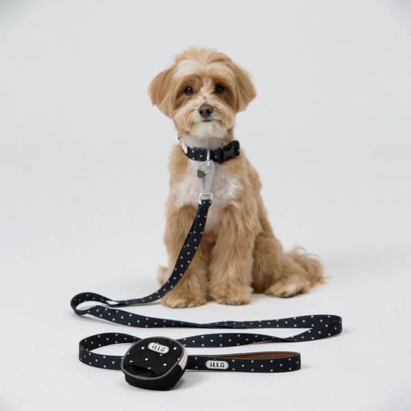 페오펫몰,일로 도로시 DOROTHY 오리지널 목줄