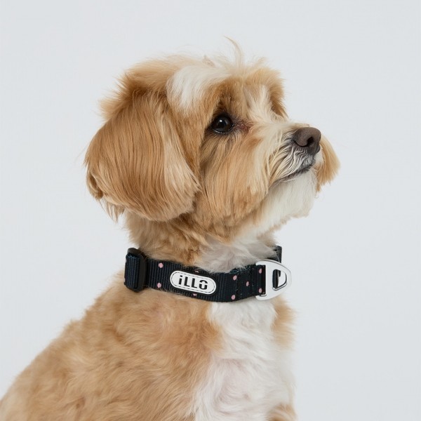 페오펫몰,일로 도로시 DOROTHY 오리지널 목줄