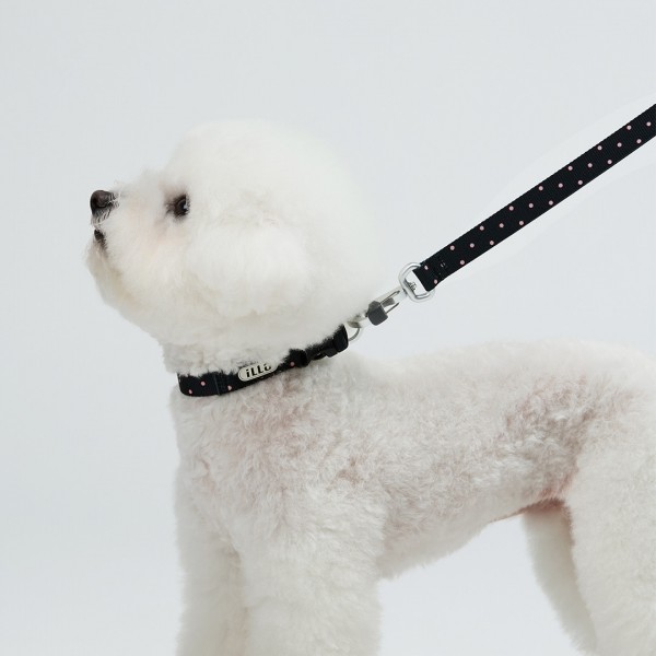 페오펫몰,일로 도로시 DOROTHY 리쉬