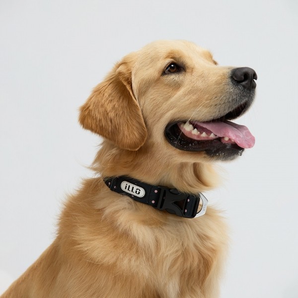 페오펫몰,일로 도로시 DOROTHY 더블락 맥스 목줄 - 중,대형견용