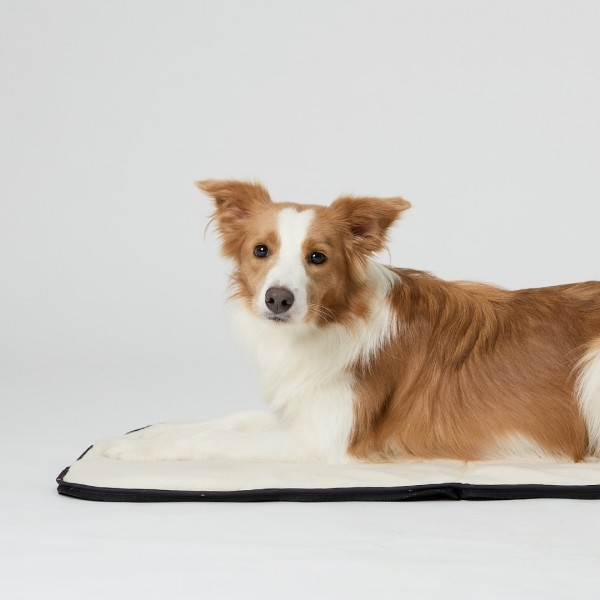 페오펫몰,일로 도로시 패딩 매트