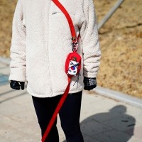 인터라켄 강아지 리드줄 G230 길이 조절 경량 버클 리쉬 안전벨크 카라비너 2.3m