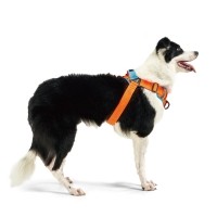 니즈더펫 인터라켄 어스텍 Y형 패드 하네스