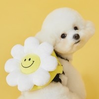 강아지 반려견 애견용품 가방 하네스 스마일 꽃
