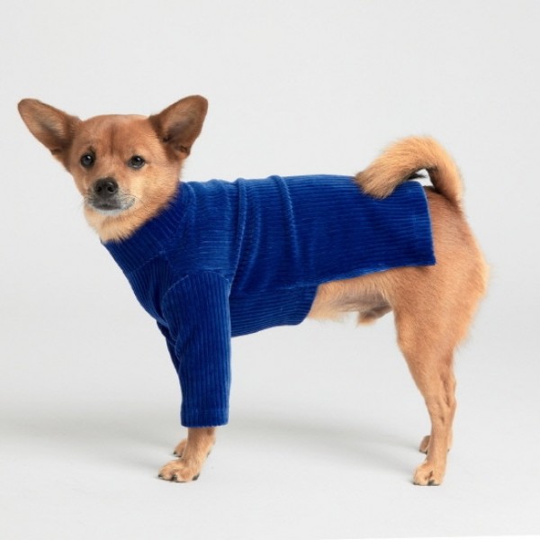 페오펫몰,페딕트 코듀로이 하이넥 티셔츠 블루 (S~XL) [최저가]