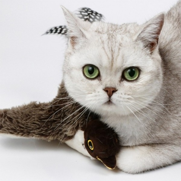 페오펫몰,펫케어 춤추는새 참새 움직이는 고양이 캣닢 자동 장난감 [최저가]