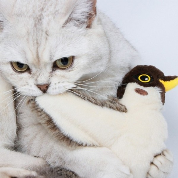 페오펫몰,펫케어 춤추는새 참새 움직이는 고양이 캣닢 자동 장난감 [최저가]