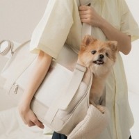 [바잇미] 컴피라비올리 브리즈 메쉬백 베이지L [최저가]