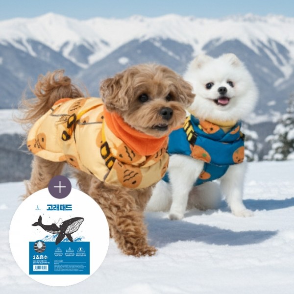 [11월6일출고예정][핏펫] 착-붙 리얼 하네스 강아지 패딩 3종 택 1 (북극곰/감귤/붕어빵) + 고래패드 대형 샘플 1매 증정