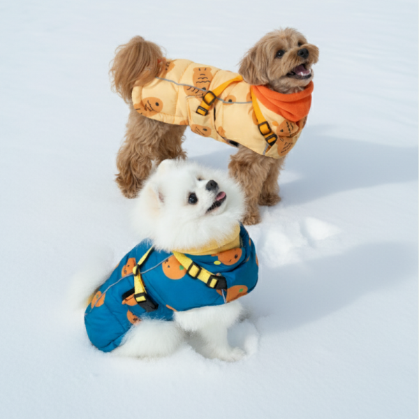 페오펫몰,[11월6일출고예정][핏펫] 착-붙 리얼 하네스 강아지 패딩 3종 택 1 (북극곰/감귤/붕어빵) + 고래패드 대형 샘플 1매 증정