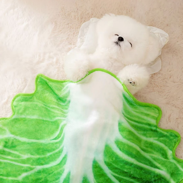 페오펫몰,[댕린이특가] 강아지담요 새끼 아기 고양이 애견 겨울 워머 이불