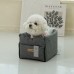 썸네일(스크롤)