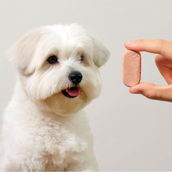 페오펫몰,트러스티푸드 동결건조 영양제 캡슐 32pcs 5종