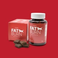 알루펫 팻번 강아지 다이어트 영양제 60g