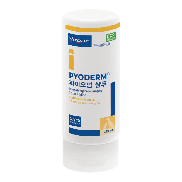 버박 파이오덤 샴푸 250ml