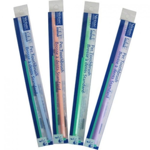 버박 미니칫솔 1p (색상랜덤)