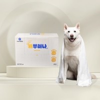 [부러나][꽃길특가] 펫타월 개부러나 60매입 1박스