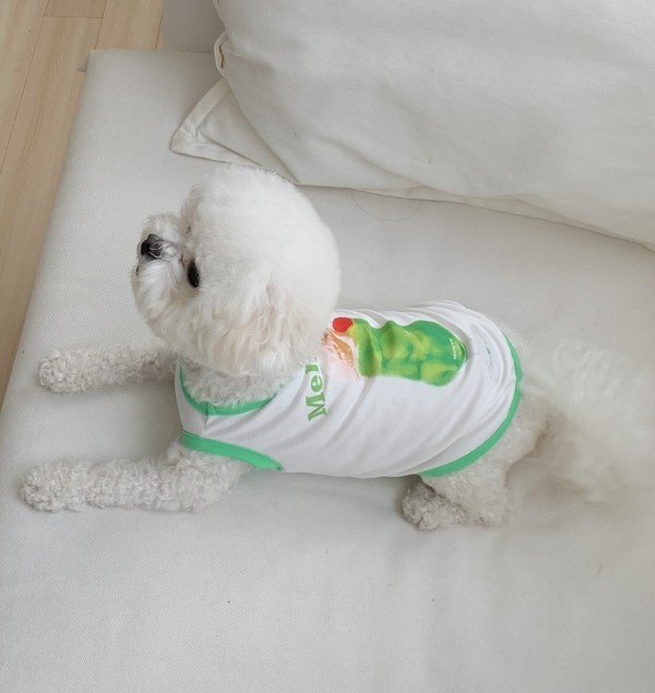 페오펫몰,우니토 썸머드링크 강아지 쿨나시