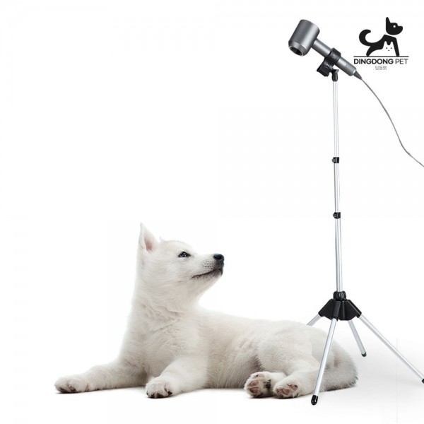 페오펫몰,딩동펫 반려동물 각도 높이조절 드라이기 거치대