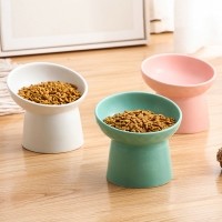 딩동펫 반려동물 허니 경사형 세라믹 식기 1P
