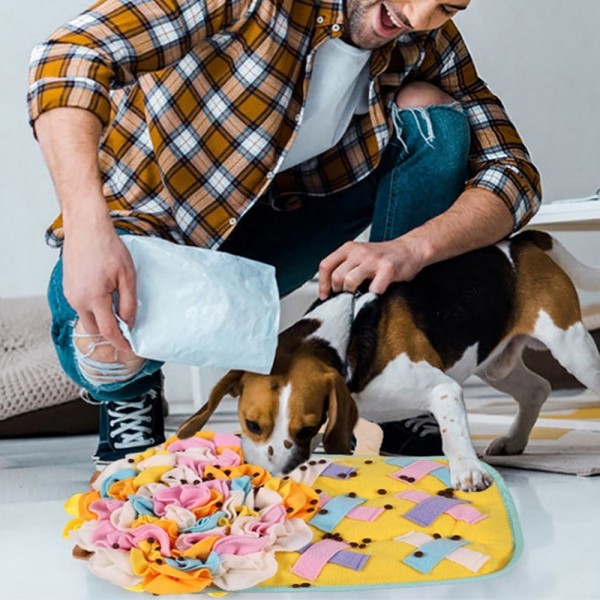 페오펫몰,딩동펫 반려동물 플라워 컵 노즈워크 매트