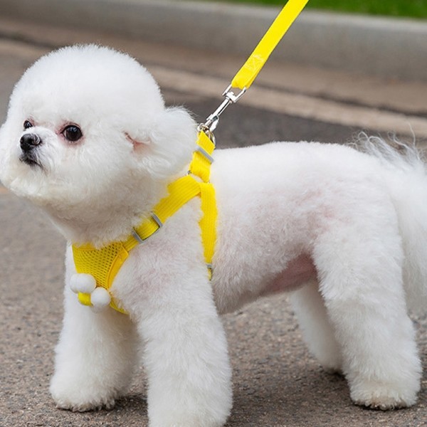 페오펫몰,딩동펫 강아지 초경량 캔디 멜빵 하네스 리드줄 세트