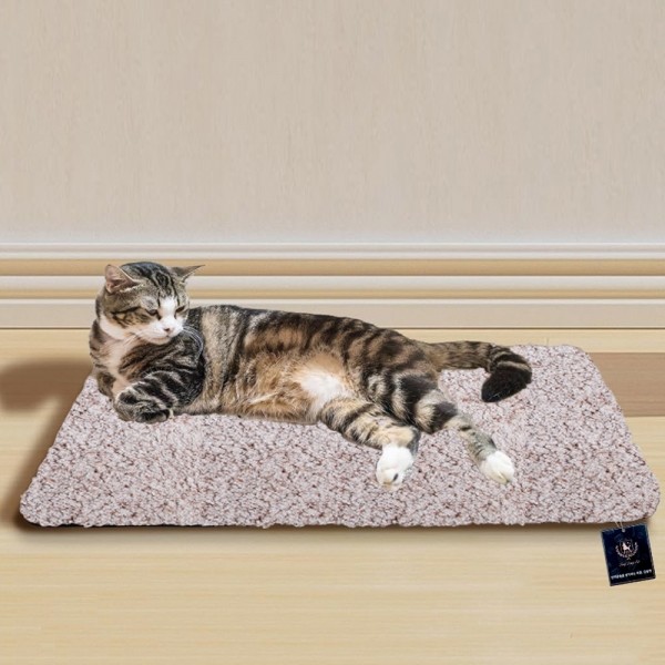 페오펫몰,딩동펫 반려동물 통세탁 보들 털방석