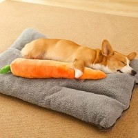 딩동펫 반려동물 대형 모찌 바스락 삑삑이 인형